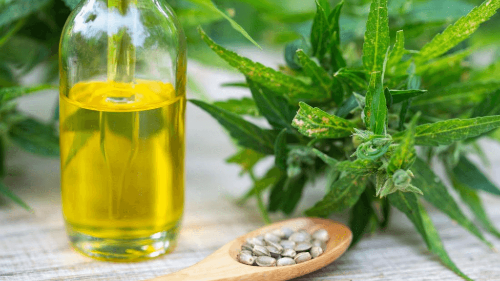 CBD in Köln: Eine Umfassende Übersicht über den Cannabidiol-Markt