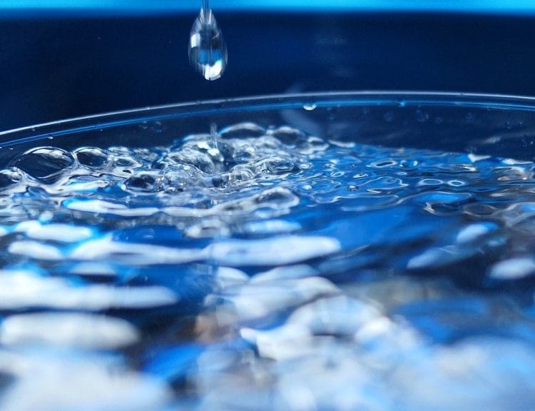 Abgestimmtes Wasser für Pflanzenwachstum: Grüne Daumen freuen sich