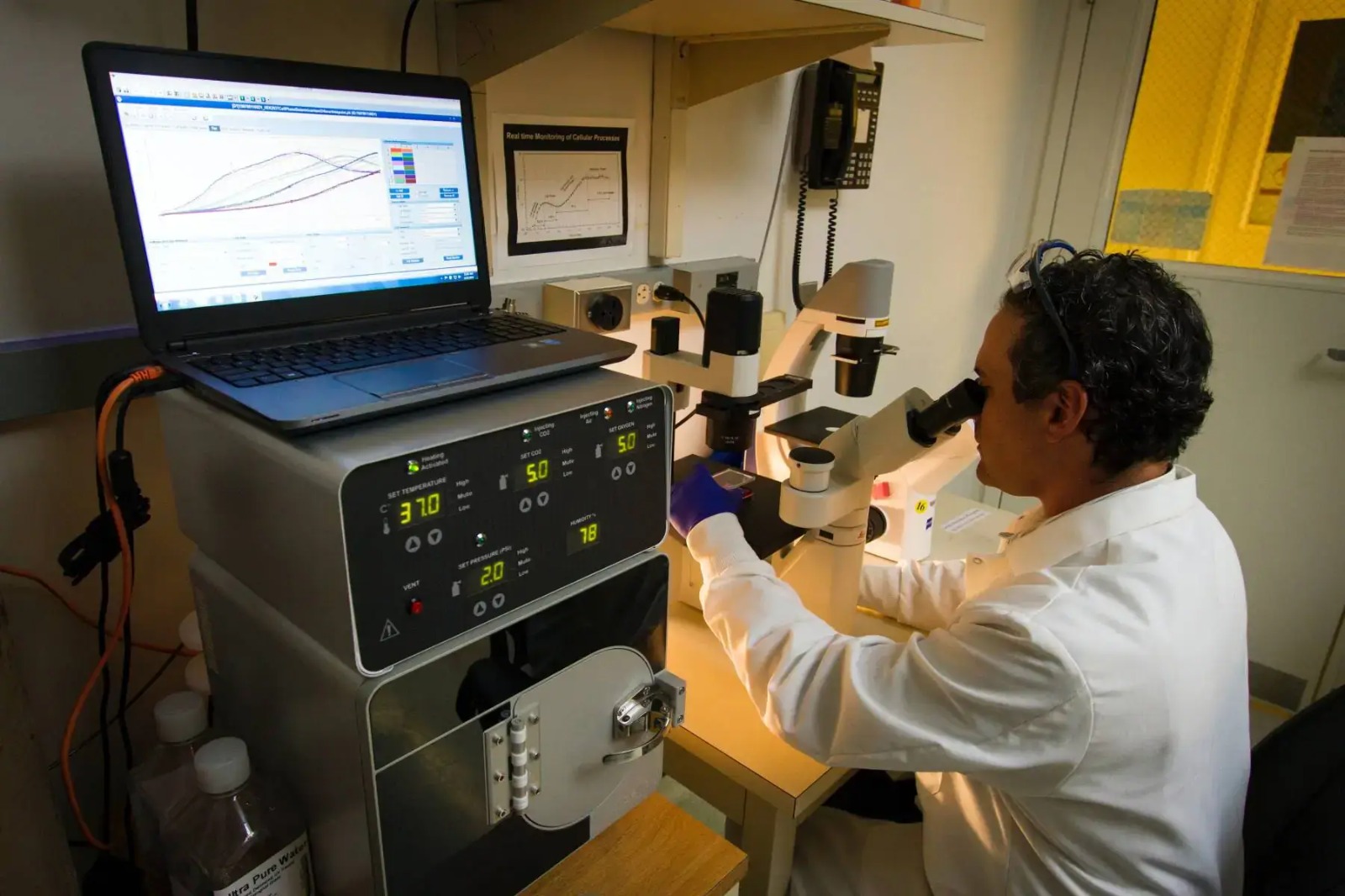 LIMS: Verbesserung der Produktivitaet und Prozessqualitaet