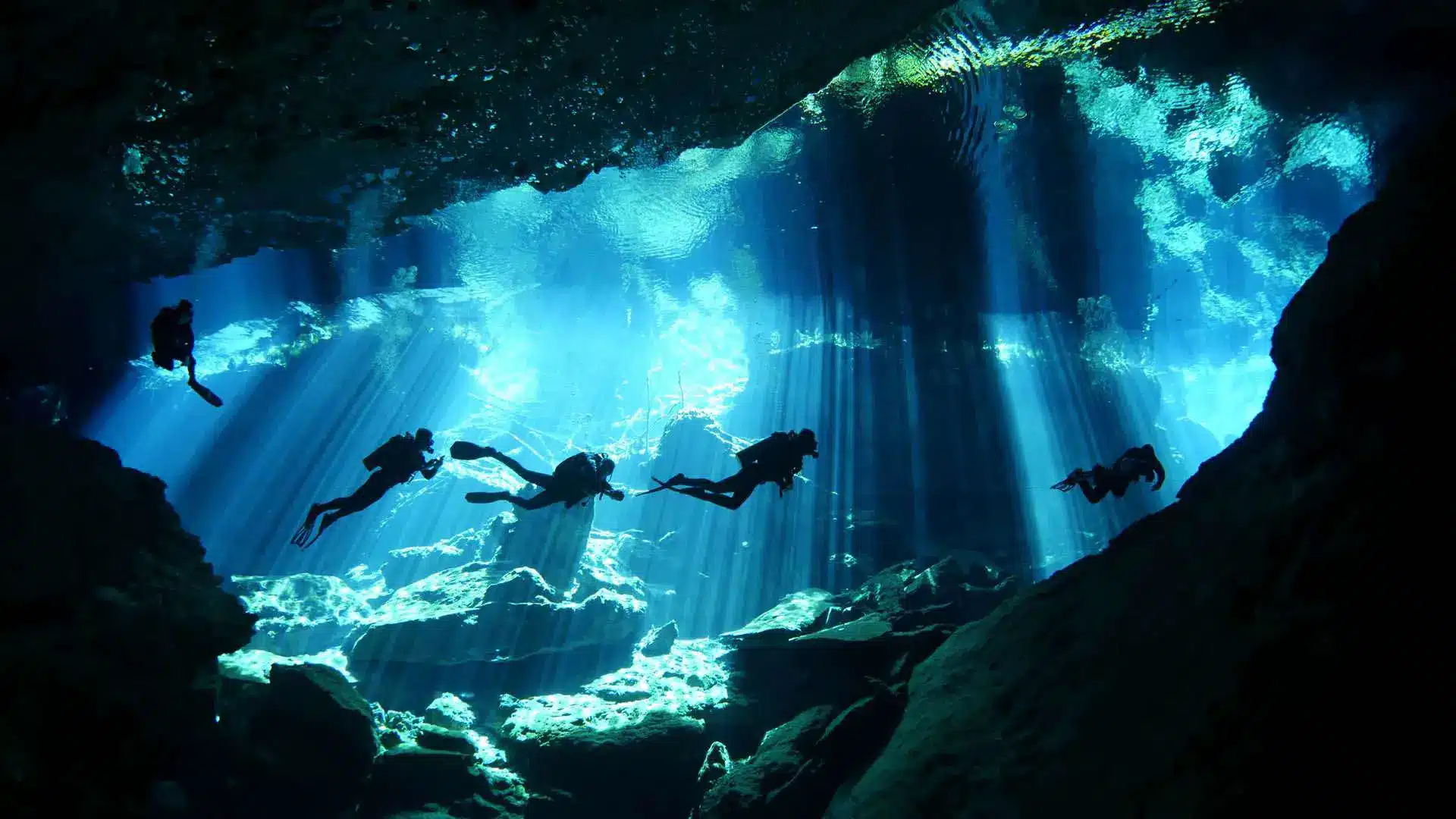 Dive Center Mexiko: Lizenzen, Kurse und individuelle Trainings