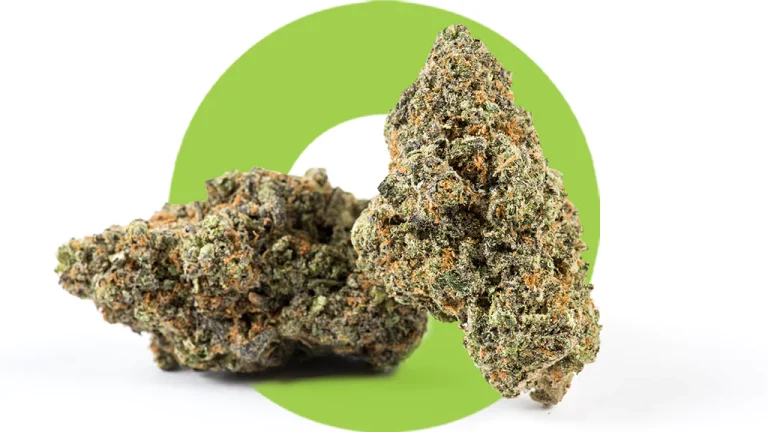 Blog_Does_Weed_Get_Old_2_1024x1024